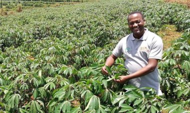 Ikoranabuhanga na siyanse mu buhinzi igisubizo kirambye mu guhangana n’imihindagurikire y’ikirere n’imirire mibi