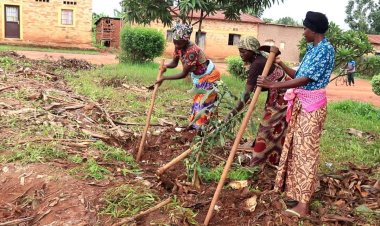 Ngoma: Abagore ntibaragira uburenganzira busesuye ku musaruro ukomoka ku buhinzi