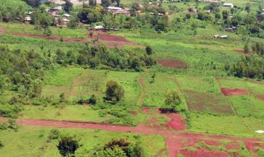 Umusoro ku butaka wagabanutseho inshuro zirenga eshatu 