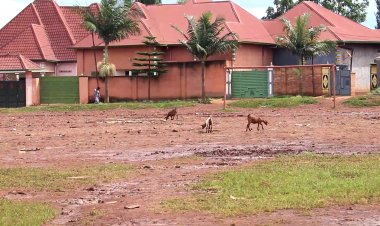 Kayonza: Urubyiruko rwinubira ko ikibuga cy'umupira w'amaguru cyahinduwe isoko 