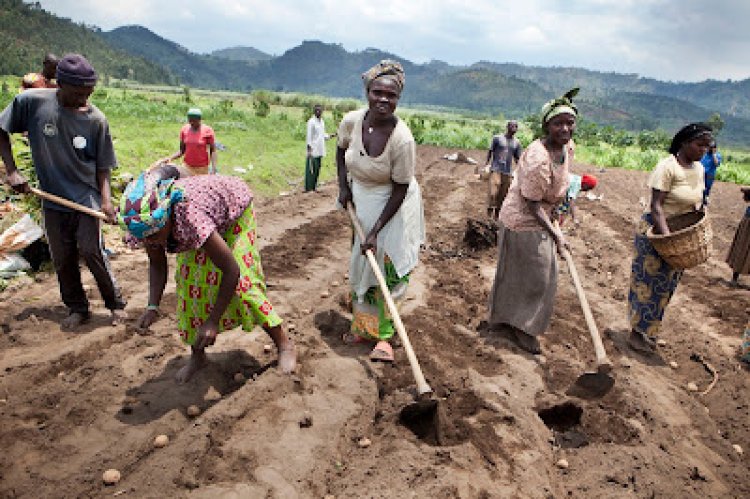 Meteo Rwanda warned farmers and breeders due to the expected heat in summer