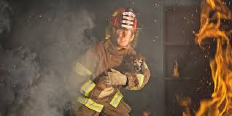 Thailand: Inyamanswa zifatwa nk’izagaciro zaguye  mu nkongi y’umuriro.