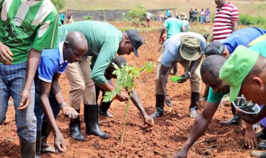 Rwamagana:Abahinzi begereye ibishinga barasabwa guhinga buhira kuko aribo makiriro