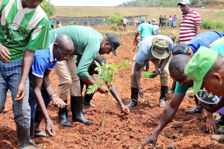 Rwamagana:Abahinzi begereye ibishinga barasabwa guhinga buhira kuko aribo makiriro