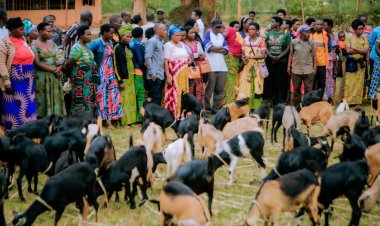 Kayonza: Abahinzi ba Kawa bahawe amatungo magufi  yo kubafasha  kwikura mu bukene no kongera umusaruro