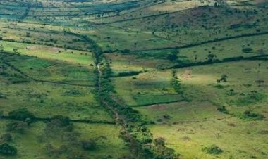 Kayonza: Land correction drive issues over 28,000 titles, cuts boundary wrangles