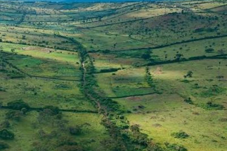 Kayonza: Land correction drive issues over 28,000 titles, cuts boundary wrangles