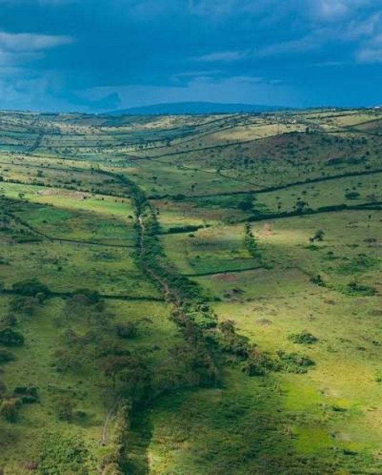 Kayonza: Land correction drive issues over 28,000 titles, cuts boundary wrangles